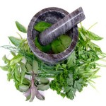 How To Make Herbal Cream